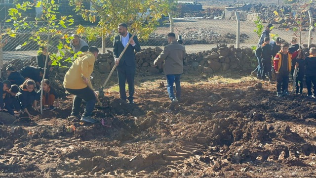 Veli Seminerleri ve Uygulamaları